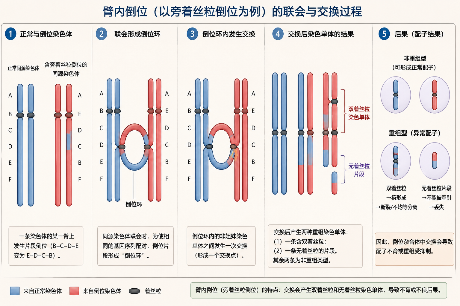 臂内倒位